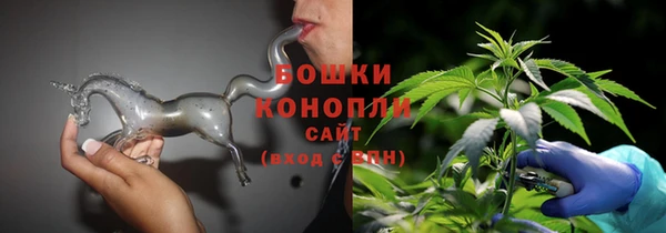 гидра Весьегонск