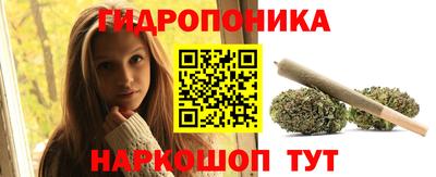 прущие грибы Абинск