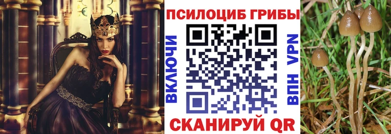 Псилоцибиновые грибы GOLDEN TEACHER  Анапа 