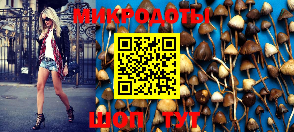 Галлюциногенные грибы MAGIC MUSHROOMS  Вход с VPN  Анапа 